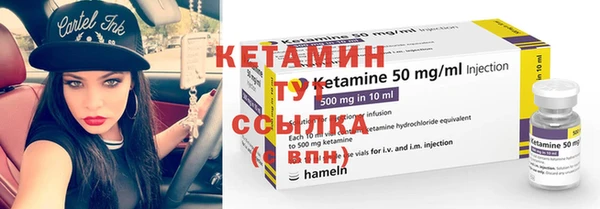 гашик Няндома