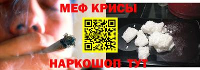 крисы Кунгур