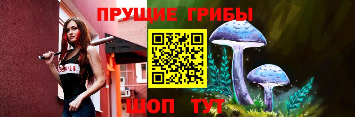 Галлюциногенные грибы Cubensis  купить закладку  Муром  Вход с VPN 